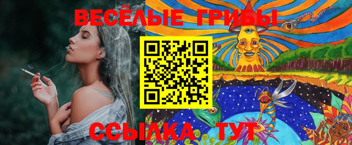 Златоуст  Галлюциногенные грибы Magic Shrooms  Вход с VPN 